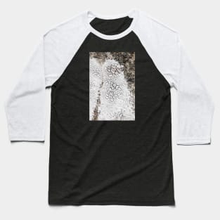 Cracks in dry soil Baseball T-Shirt